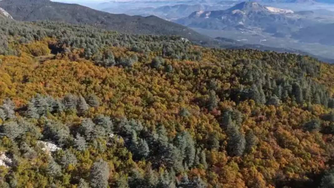 Dünyada Sadece Isparta'da Var! İzinsiz Girenlere 557 Bin TL Ceza 1